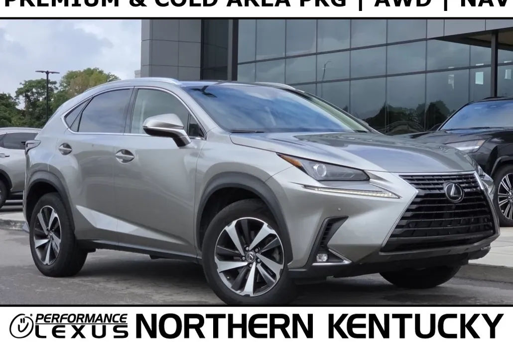 2018 Lexus NX 300 Luxury photo 1