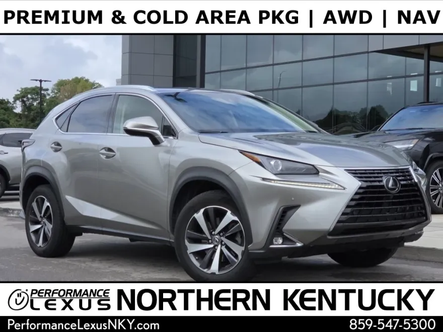 2018 Lexus NX 300 Luxury photo 1