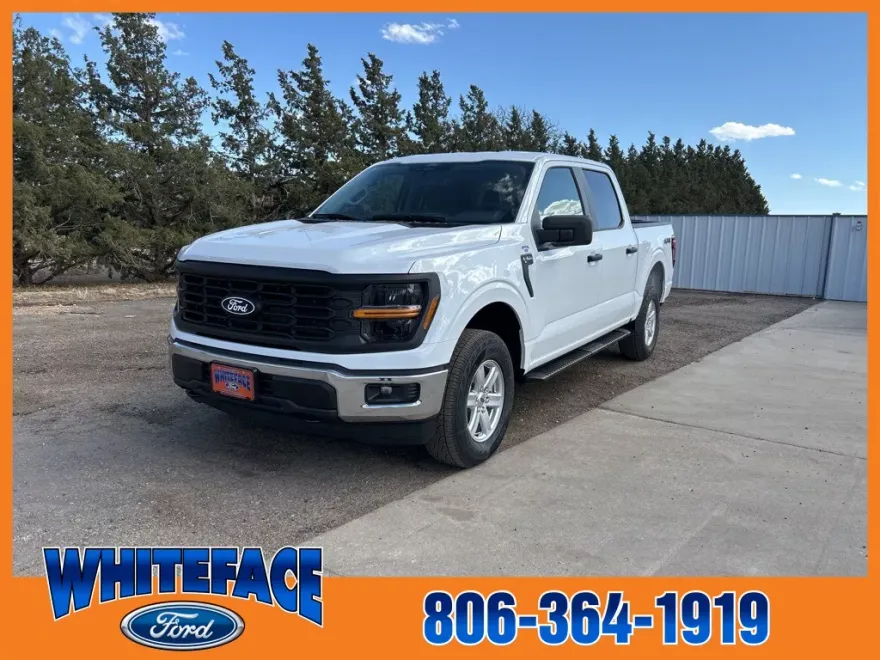 2025 Ford F-150 XL photo 1