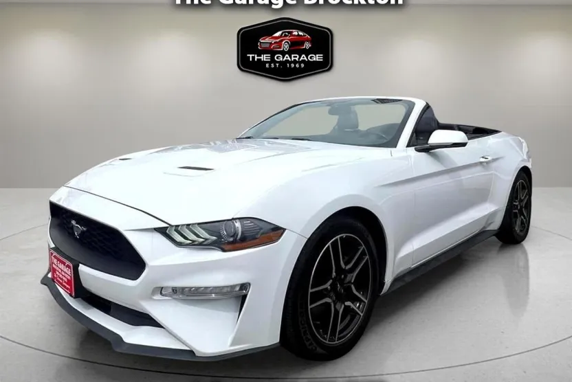 2019 Ford Mustang EcoBoost Convertible photo 1