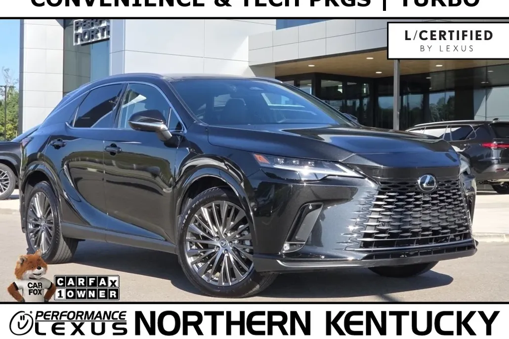2024 Lexus RX 350 Luxury photo 1