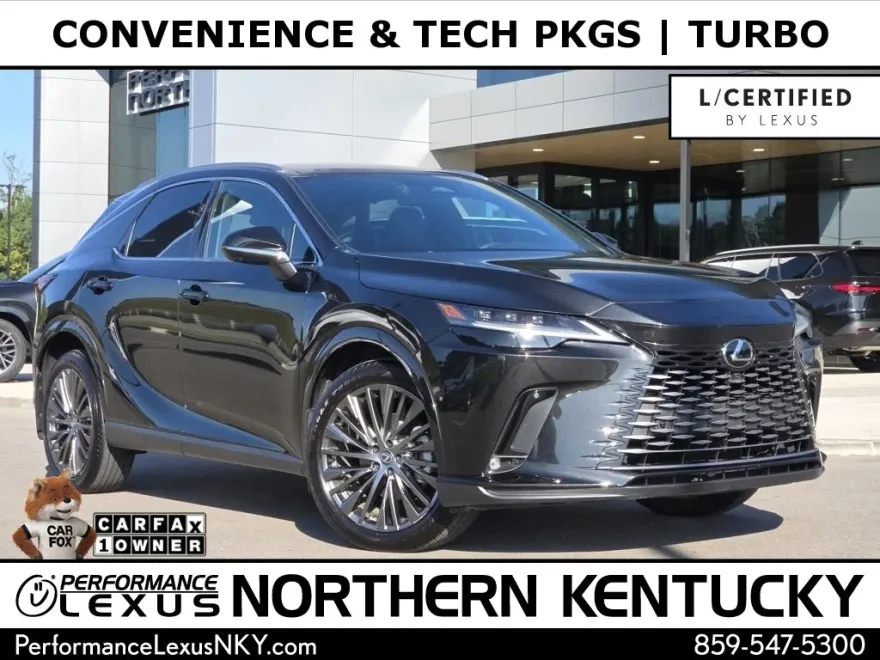 2024 Lexus RX 350 Luxury photo 1
