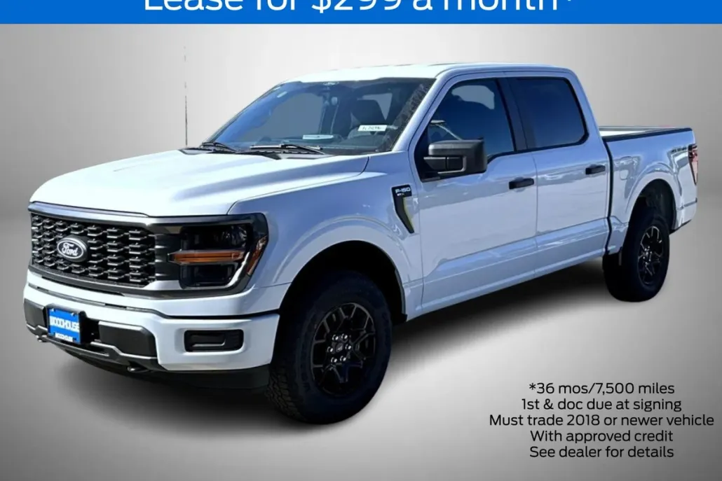 2025 Ford F-150 STX photo 1