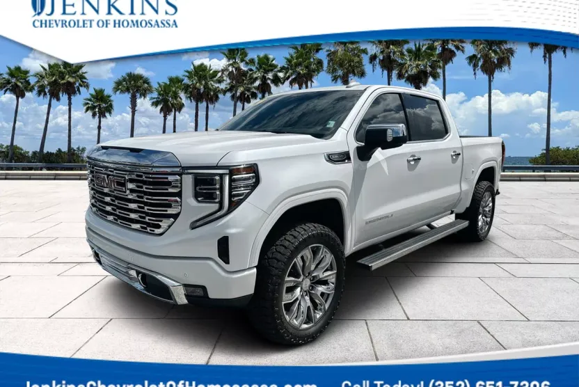 2024 Gmc Sierra 1500 Denali photo 1