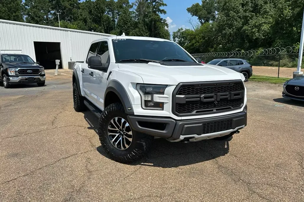 2019 Ford F-150 Raptor photo 1