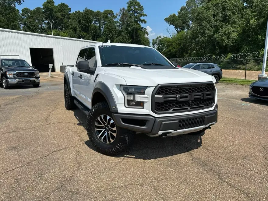 2019 Ford F-150 Raptor photo 1