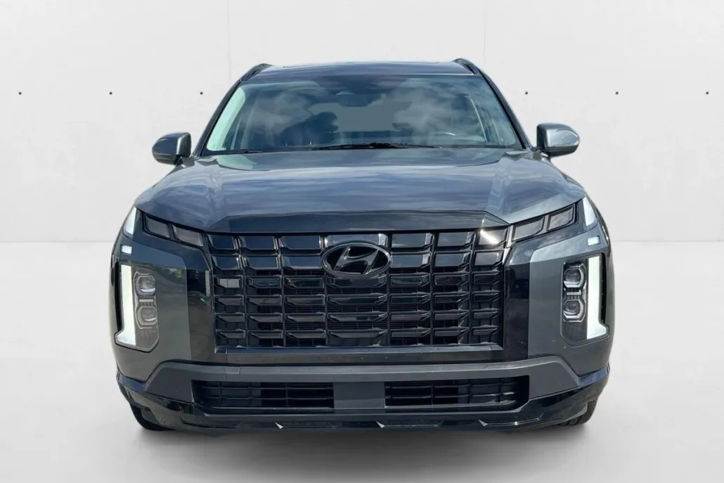 2024 Hyundai Palisade XRT photo 1