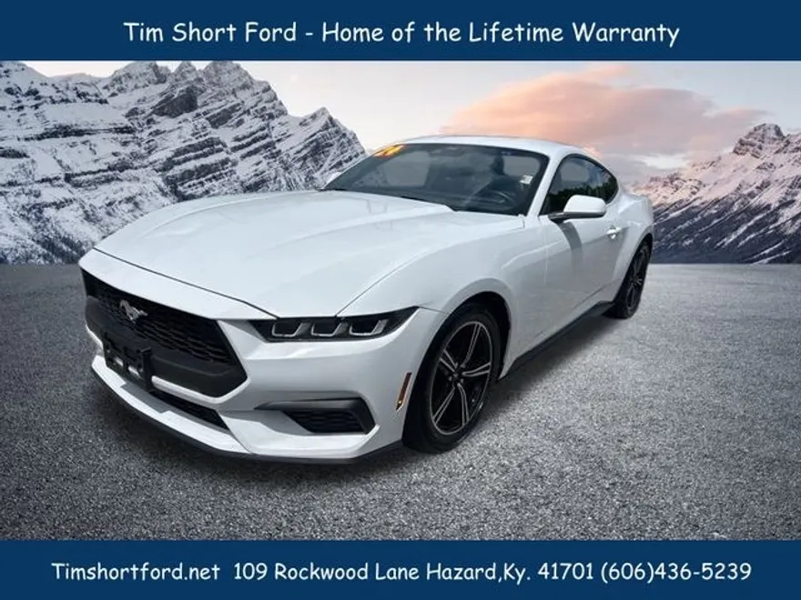 2024 Ford Mustang EcoBoost Premium photo 1