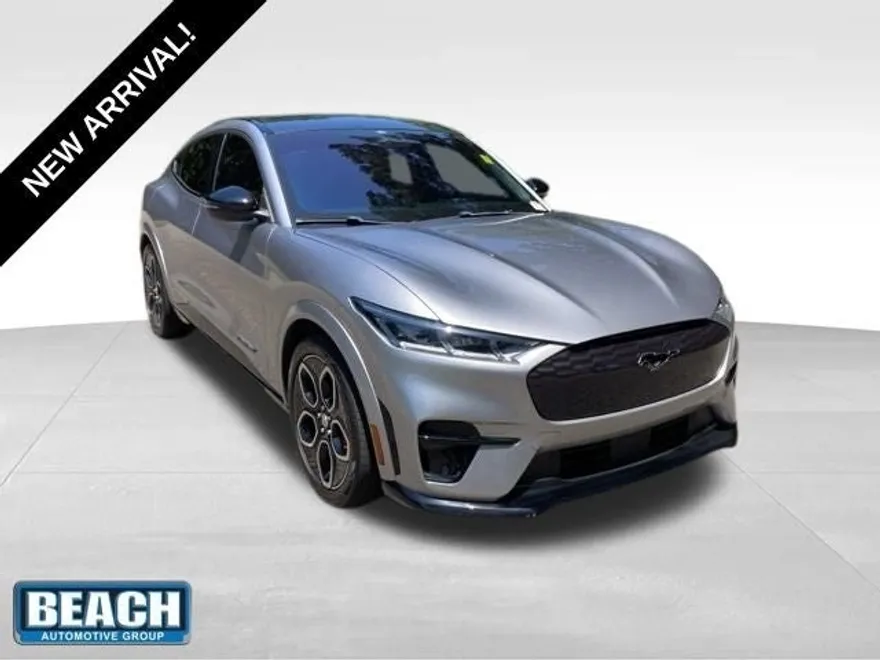 2021 Ford Mustang Mach-E GT photo 1