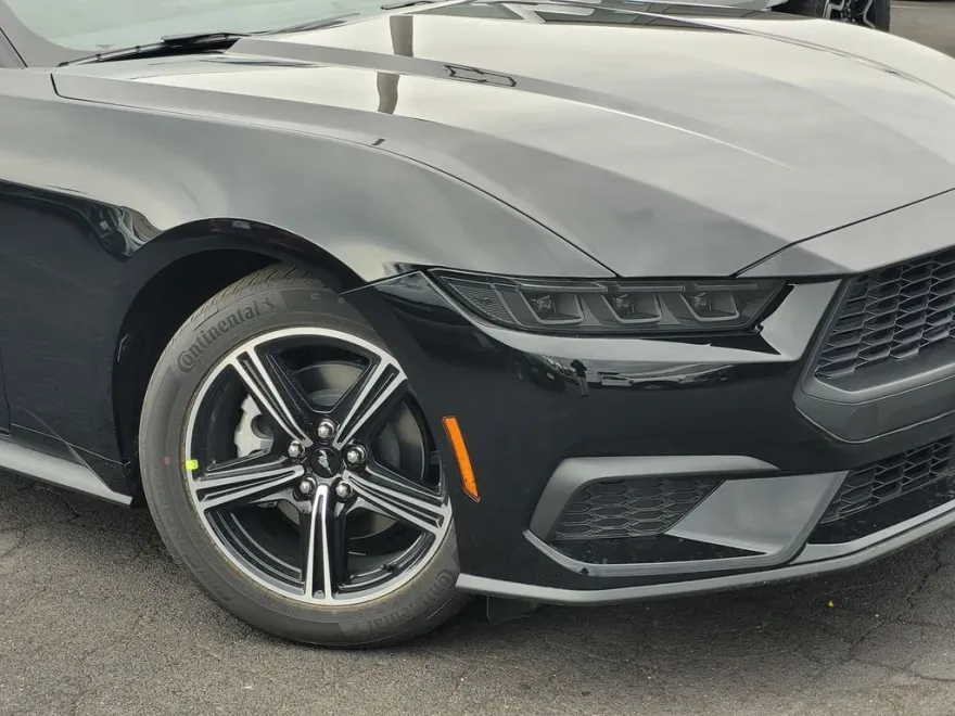 2025 Ford Mustang EcoBoost photo 1