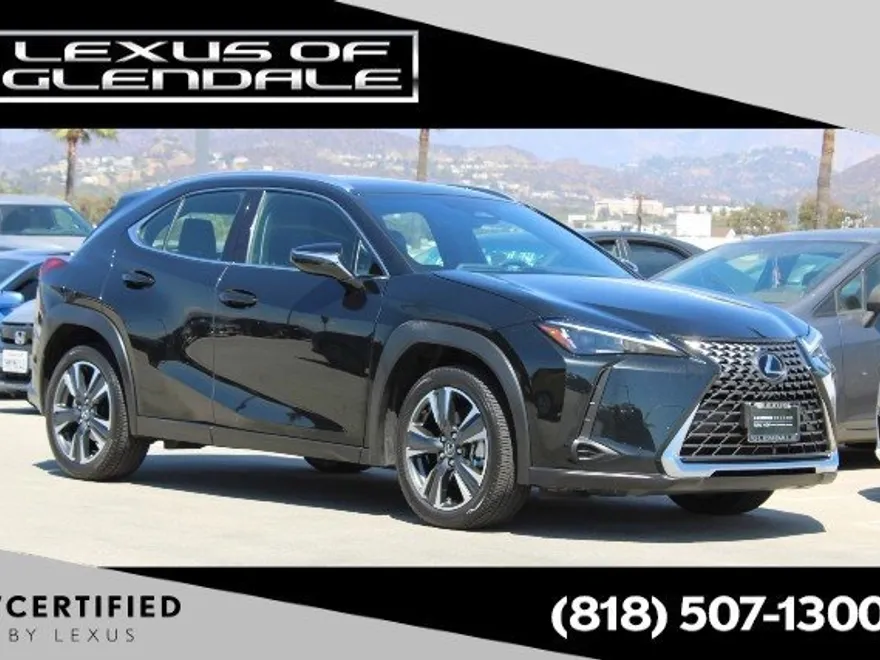 2025 Lexus UX photo 1
