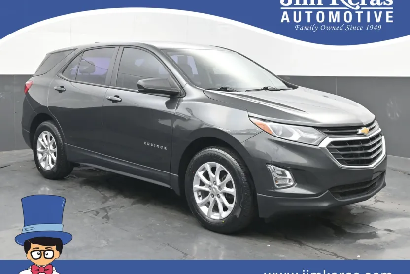 2020 Chevrolet Equinox LS photo 1