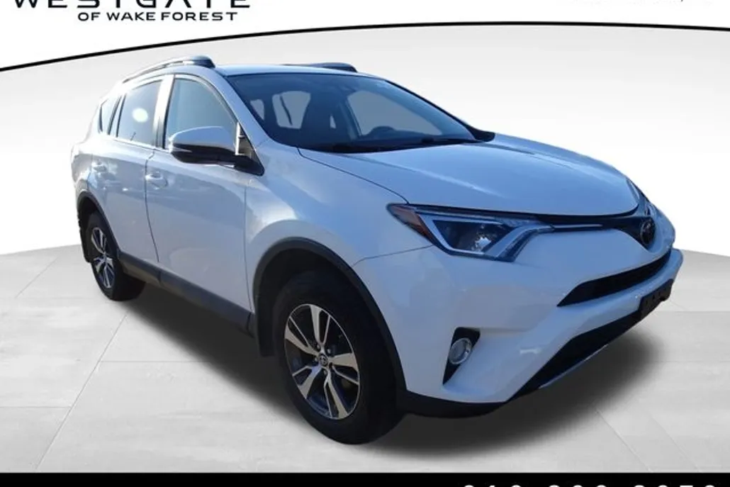 2018 Toyota RAV4 XLE photo 1