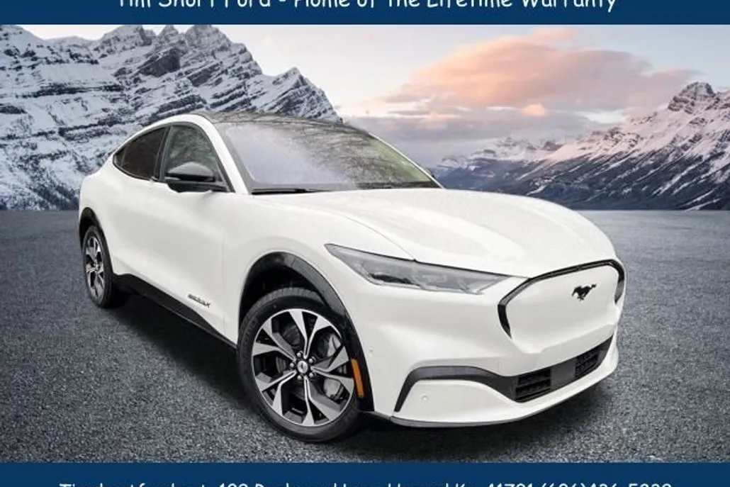 2022 Ford Mustang Mach-E Premium photo 1