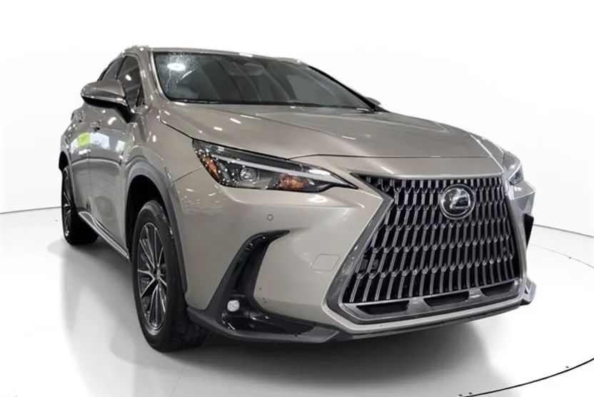 2024 Lexus NX 250 Premium photo 1