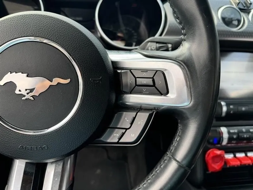 2018 Ford Mustang GT photo 11