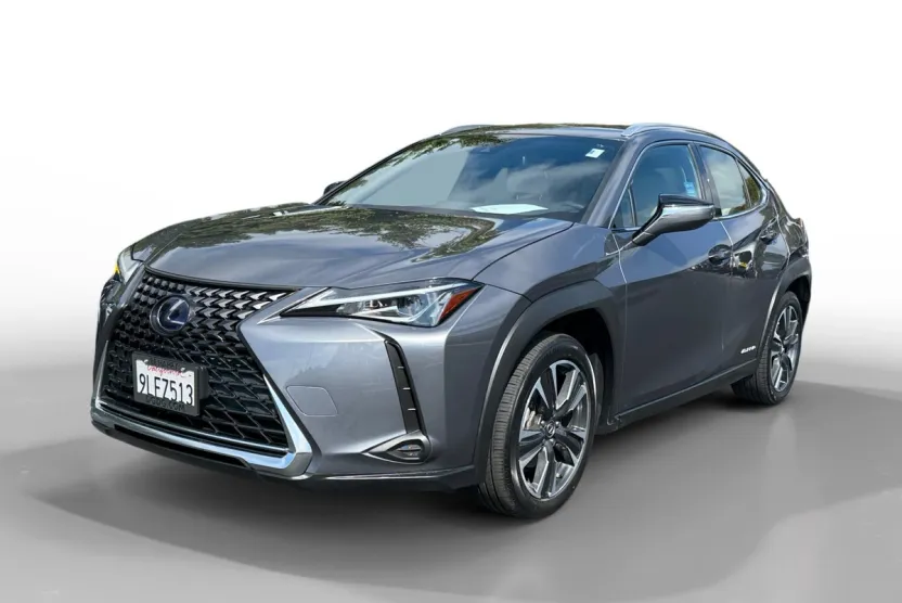 2020 Lexus UX 250h photo 1