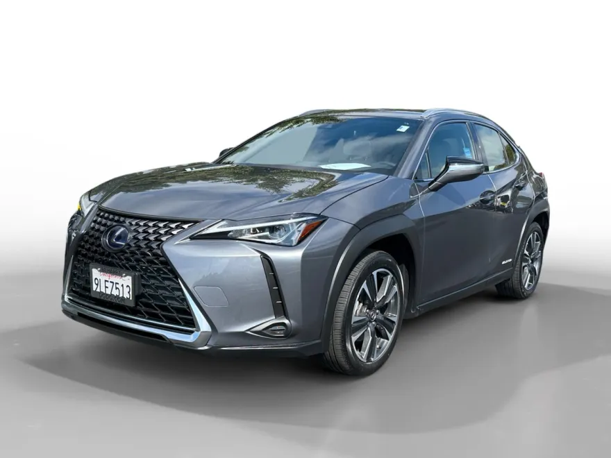 2020 Lexus UX 250h photo 1