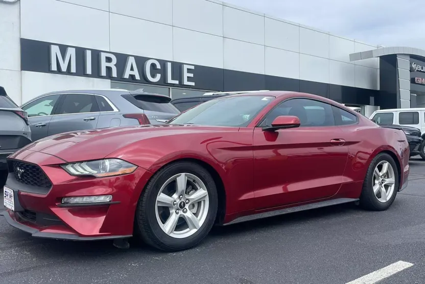 2019 Ford Mustang EcoBoost photo 1