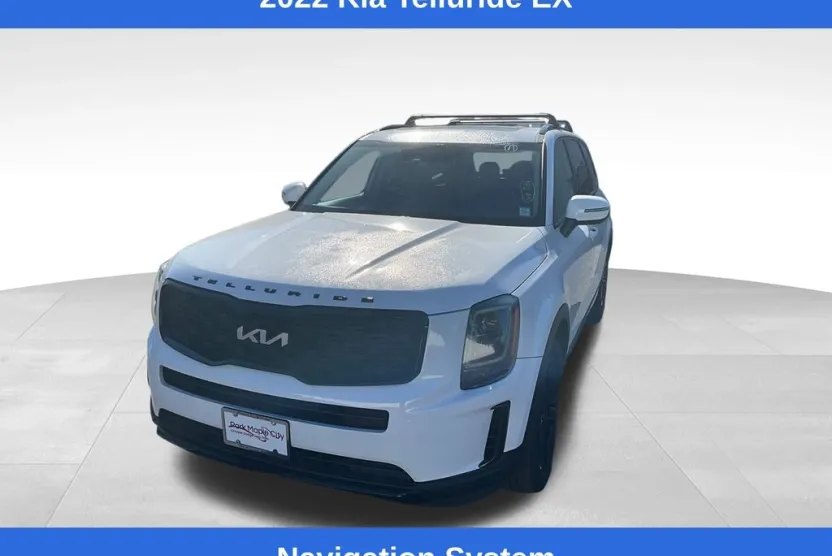 2022 Kia Telluride EX photo 1