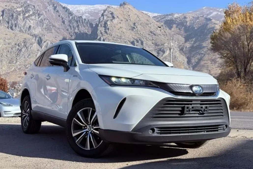 2021 Toyota Venza LE photo 1