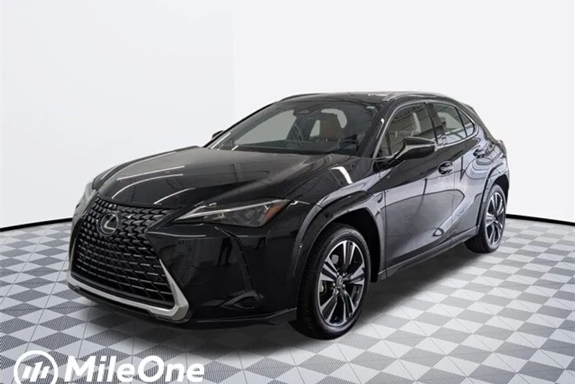 2025 Lexus UX photo 1