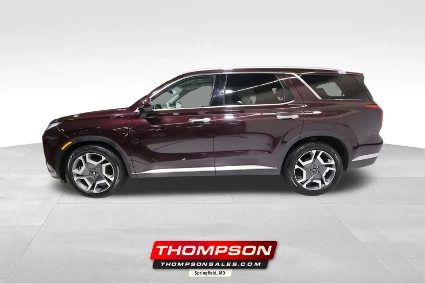 2024 Hyundai Palisade Limited photo 1