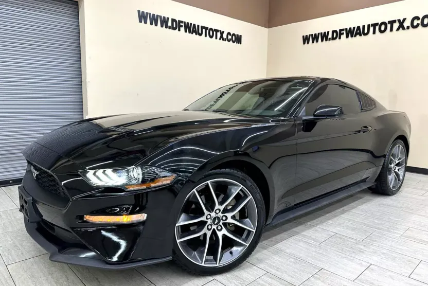 2019 Ford Mustang EcoBoost photo 1