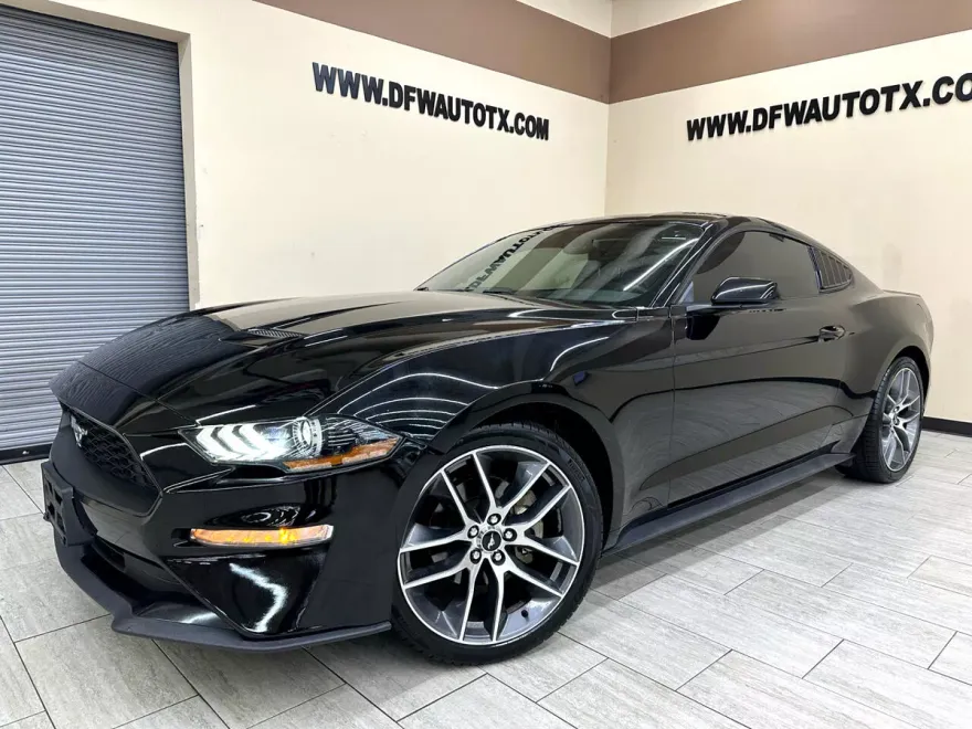 2019 Ford Mustang EcoBoost photo 1