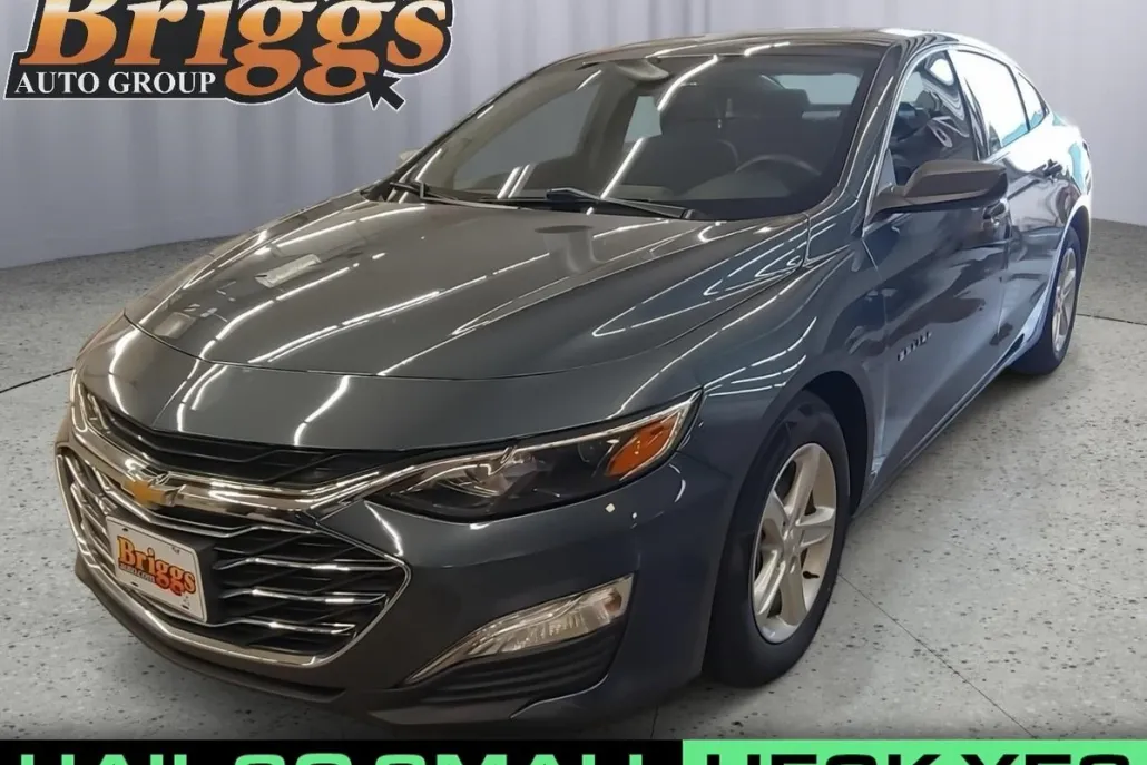 2020 Chevrolet Malibu LS photo 1