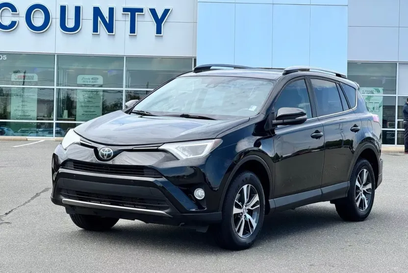 2018 Toyota RAV4 XLE photo 1