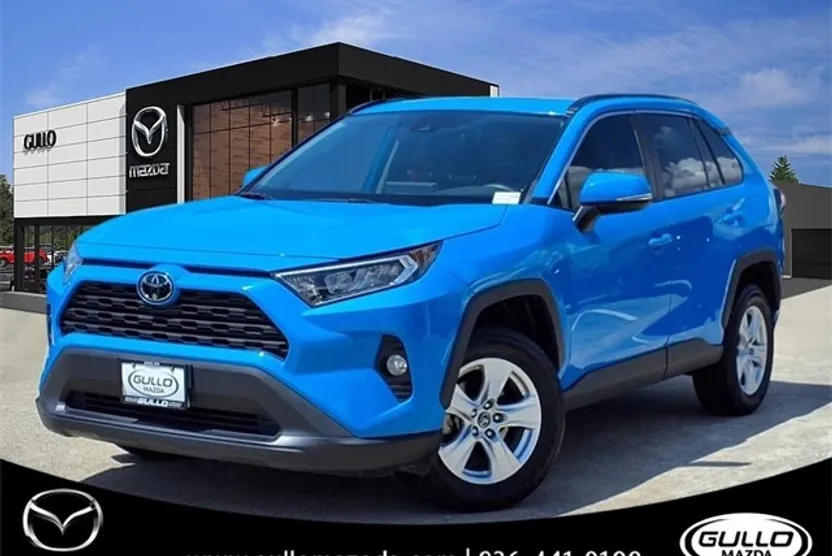 2019 Toyota RAV4 XLE photo 1
