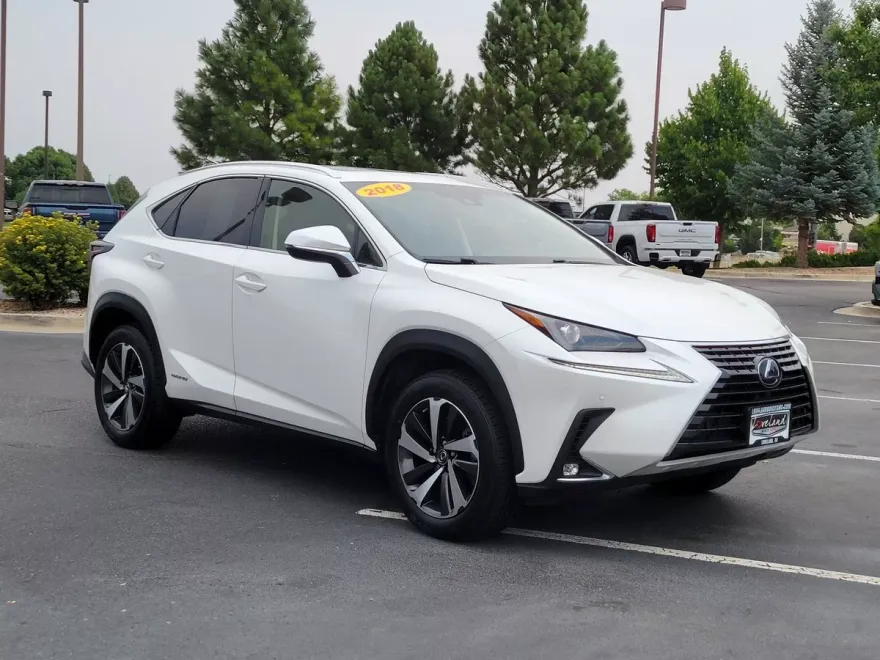 2018 Lexus NX 300h Luxury photo 1