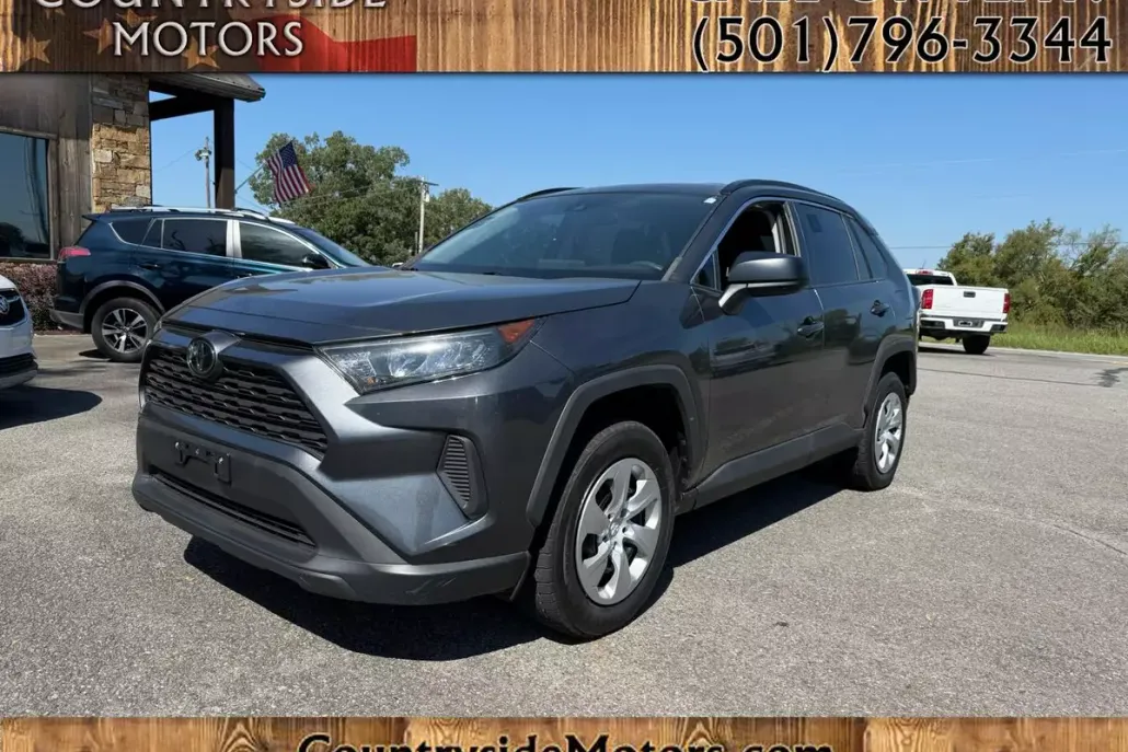 2019 Toyota RAV4 LE photo 1