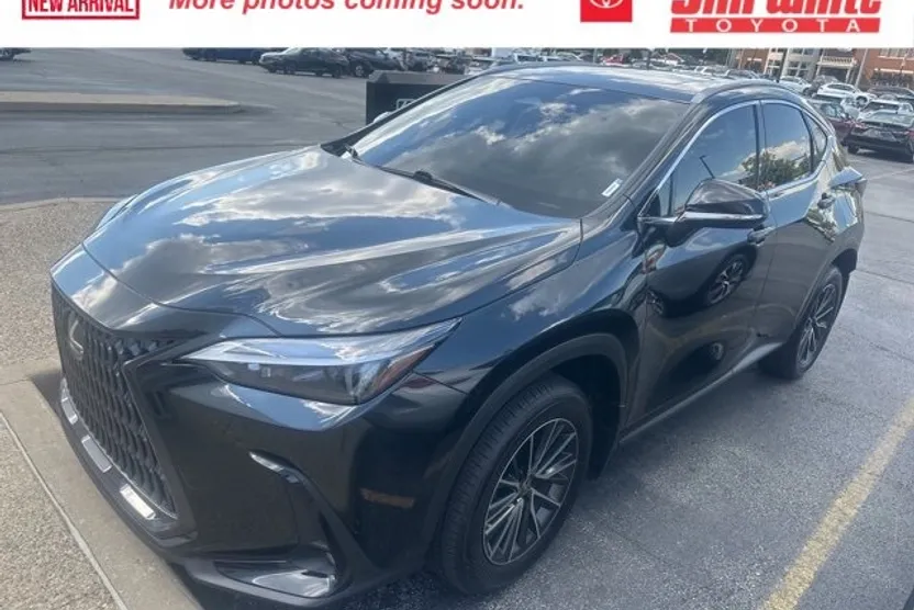 2023 Lexus NX 350h photo 1