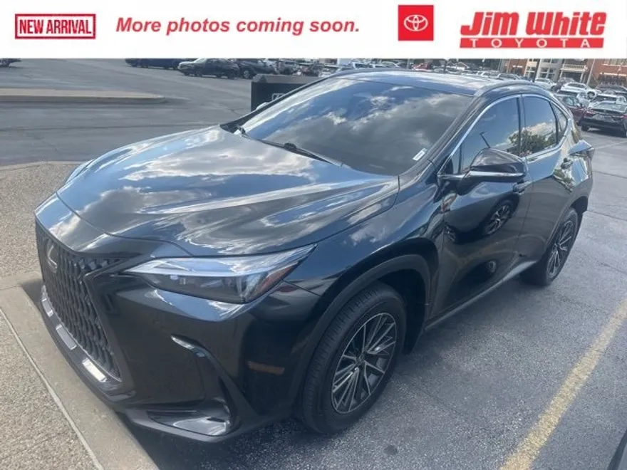 2023 Lexus NX 350h photo 1