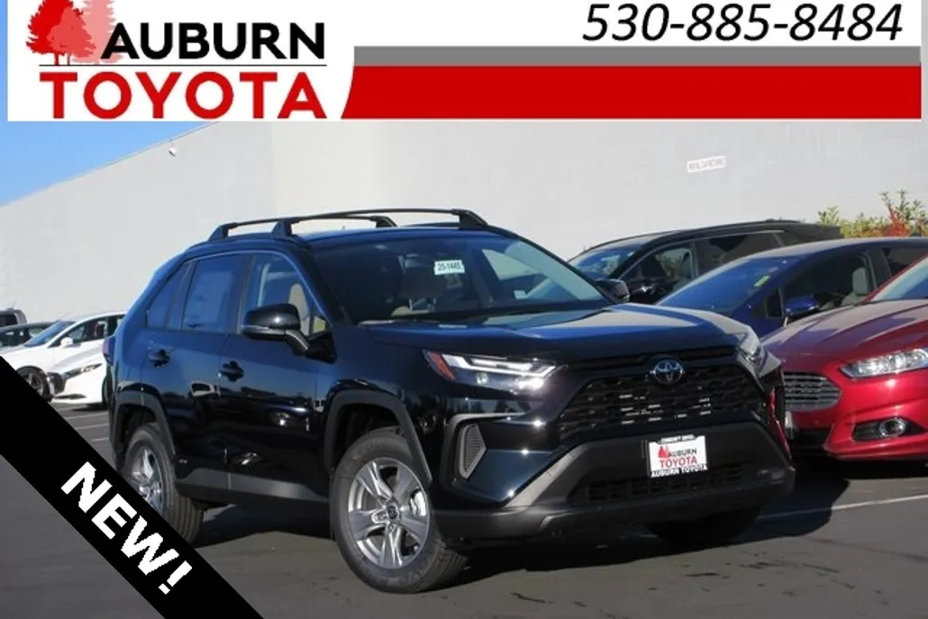 2025 Toyota RAV4 Hybrid XLE photo 1