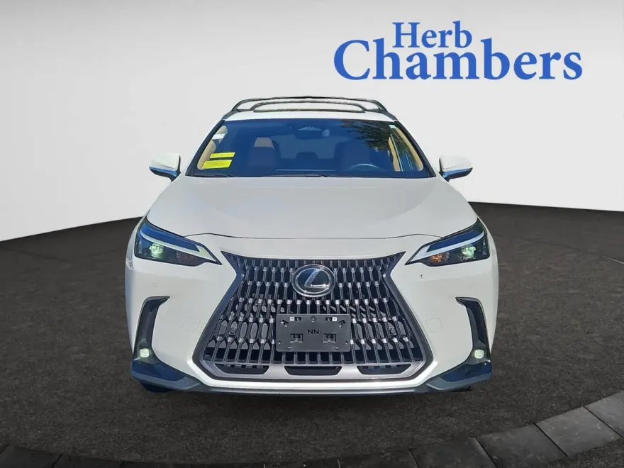 2024 Lexus NX 350 Premium photo 1