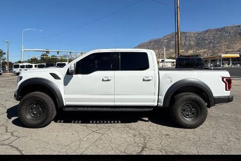 2019 Ford F-150 Raptor photo 1