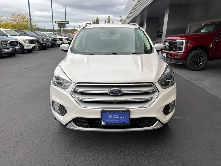 2019 Ford Escape Titanium photo 1