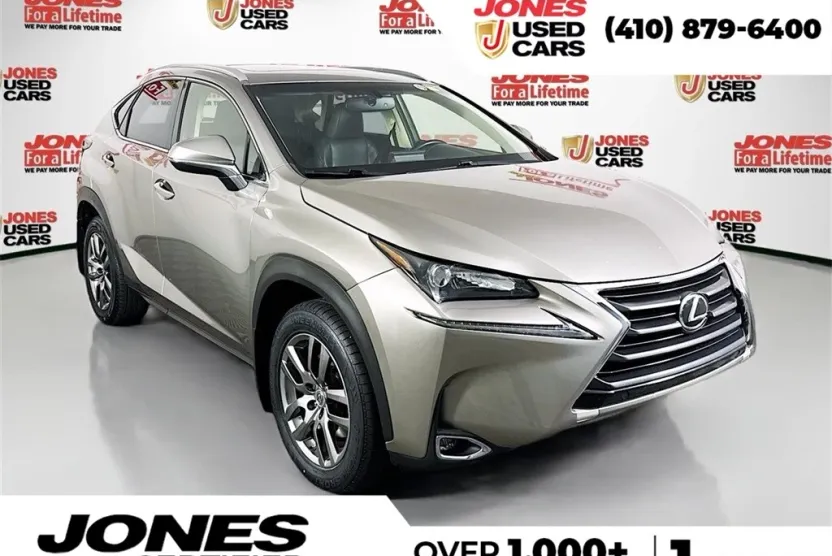 2015 Lexus NX 200t Luxury photo 1