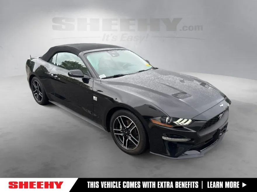 2023 Ford Mustang EcoBoost Premium photo 1