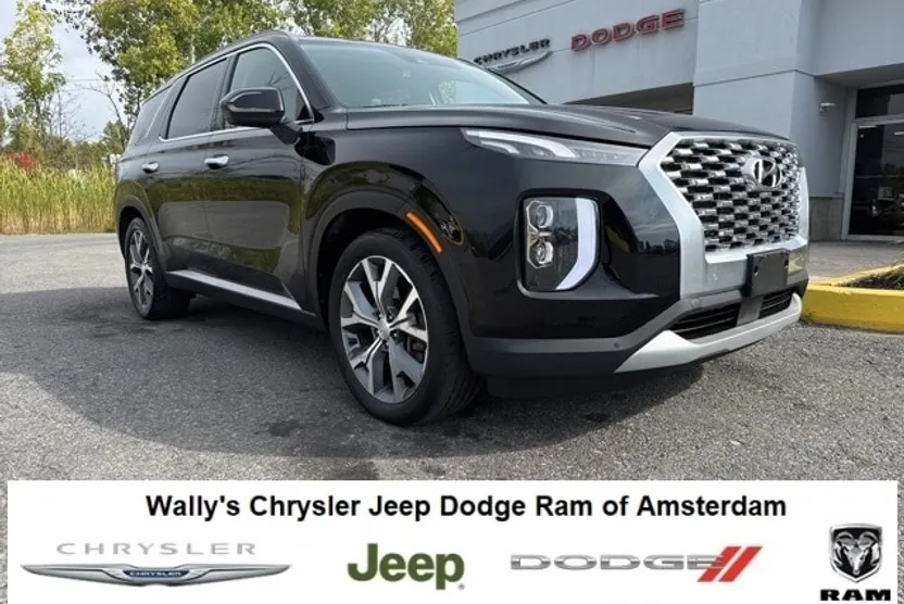 2020 Hyundai Palisade SEL photo 1