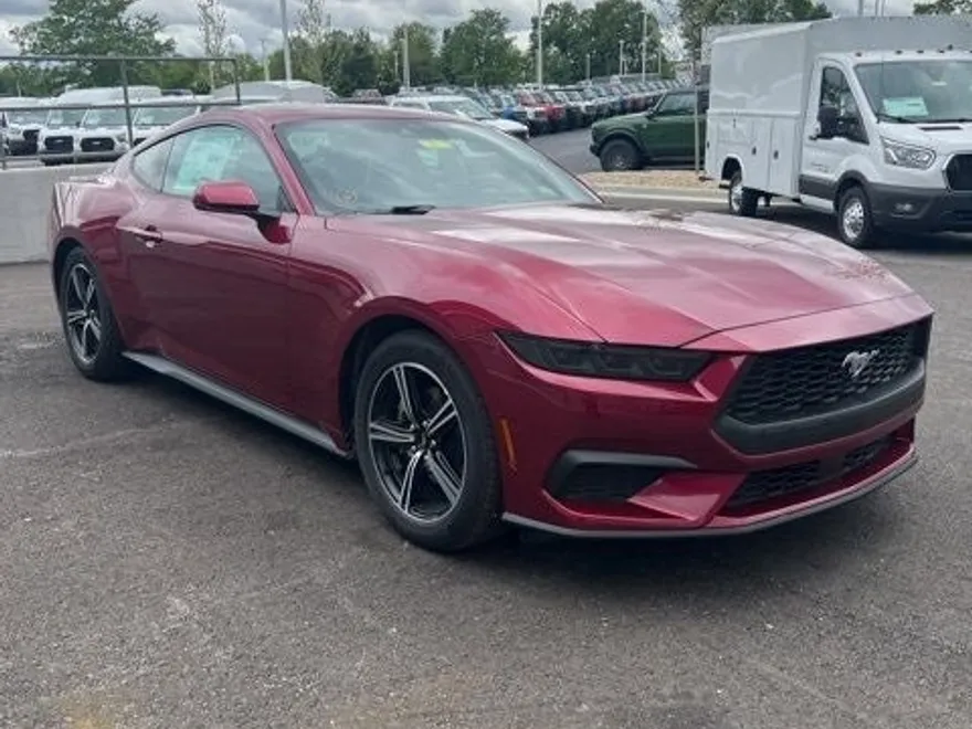 2025 Ford Mustang EcoBoost Premium photo 1