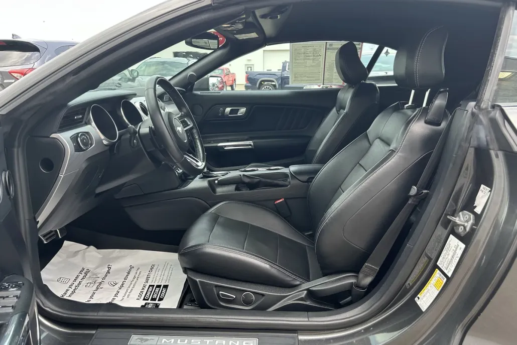 2019 Ford Mustang EcoBoost Premium photo 1
