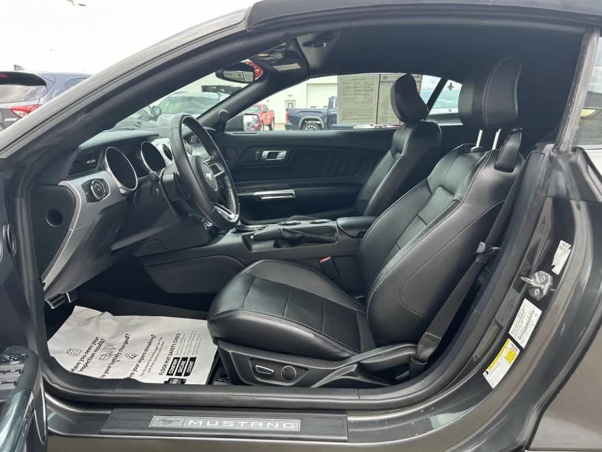 2019 Ford Mustang EcoBoost Premium photo 1
