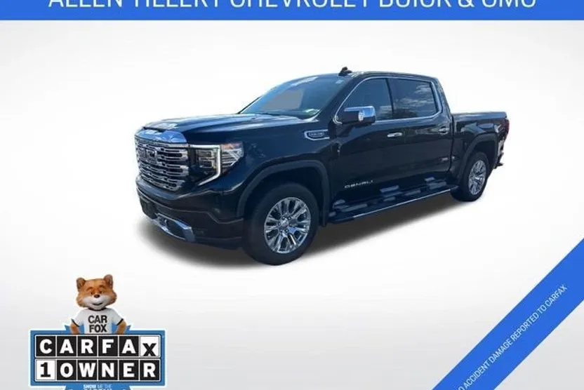 2024 Gmc Sierra 1500 Denali photo 1