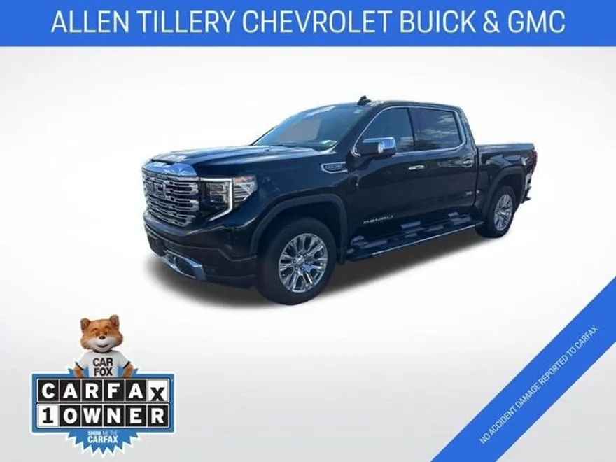 2024 Gmc Sierra 1500 Denali photo 1