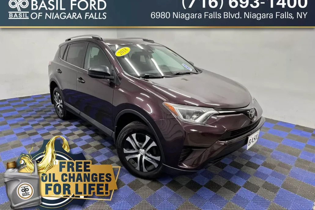 2018 Toyota RAV4 LE photo 1
