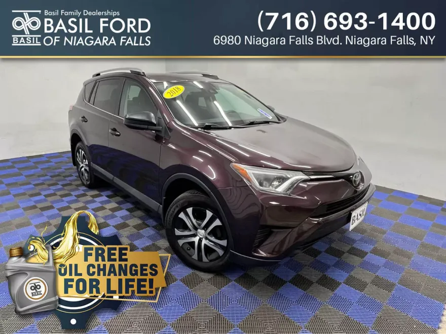 2018 Toyota RAV4 LE photo 1